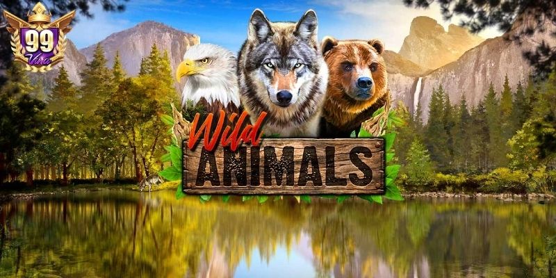 Hiểu rõ luật lệ để tham gia Wild Animals Slot hiệu quả Hiểu rõ luật lệ để tham gia Wild Animals Slot hiệu quả