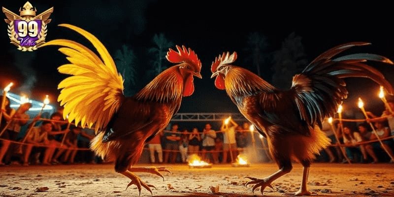 Lựa chọn đầu tư đầy thách thức, thưởng cực cao Lựa chọn đầu tư đầy thách thức, thưởng cực cao